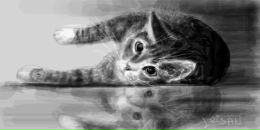 Фотография Микелича Кирилла