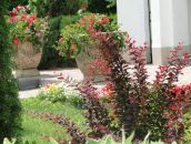 Вікторія Климчук фотография #26 (источник - https://vk.com/id68499330)