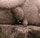 Аліса Скупяко фотография #11 (источник - https://vk.com/id156282230)