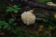 Виталий Маланин фотография #22 (источник - https://vk.com/id698311)