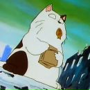 Фотография Плешаковой Иры