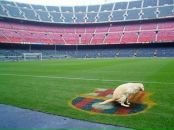 Сергей Иванов фотография #24 (источник - https://vk.com/id2760201)