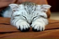 Фотография Кавешниковой Александры