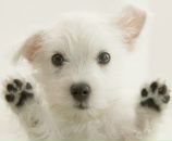 Фотография Конюха Андрея