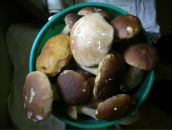 Фотография Манжурина Виктора