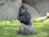 Фотография Кобченко Анны