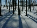 Антон Смирнов фотография #20 (источник - https://vk.com/id160448316)