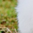 Іванна Панчук фотография #37 (источник - https://vk.com/id70090382)