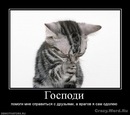 Діма Балагурчик фотография #21 (источник - https://vk.com/id145534037)