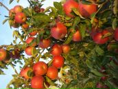 Віталік Гикавий фотография #12 (источник - https://vk.com/id65550734)