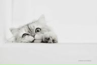 Фотография Ивановой Настасьи