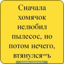 Ліза Чеканьова фотография #9 (источник - https://vk.com/id132584397)