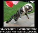 Роман Багрій фотография #12 (источник - https://vk.com/id116366204)