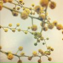 Настя Пак фотография #28 (источник - https://vk.com/id986224)