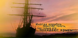 Milen *** фотография #12 (источник - https://vk.com/id137159262)