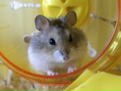 Фотография Смотровой Софьи