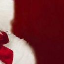 Ірина Криницька фотография #38 (источник - https://vk.com/id133914453)