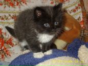 Фотография Дерендяевой Оли