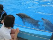 Надія Смірнова фотография #44 (источник - https://vk.com/id7996557)