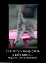 Фотография Павловой Екатерины