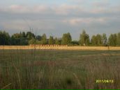 Илья Лопачев фотография #37 (источник - https://vk.com/id2323698)