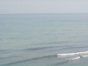 Артьом Повторейко фотография #12 (источник - https://vk.com/id64374872)