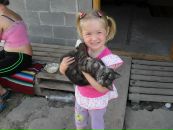 Вікуся Дубова фотография #3 (источник - https://vk.com/id168178110)