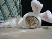 Фотография Федичкиной Татьяны