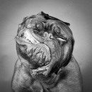 Фотография Ильичёва Александра