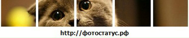 Іванка Золота фотография #21 (источник - https://vk.com/id139708248)