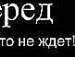Міша Малько фотография #33 (источник - https://vk.com/id70137137)