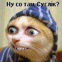 Віталік Глушко фотография #45 (источник - https://vk.com/id153665950)