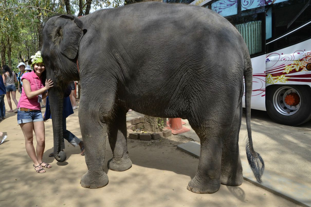 Лесечка Симоненко фотография #43