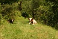 Сергей Матвейчук фотография #12 (источник - https://vk.com/id2555655)