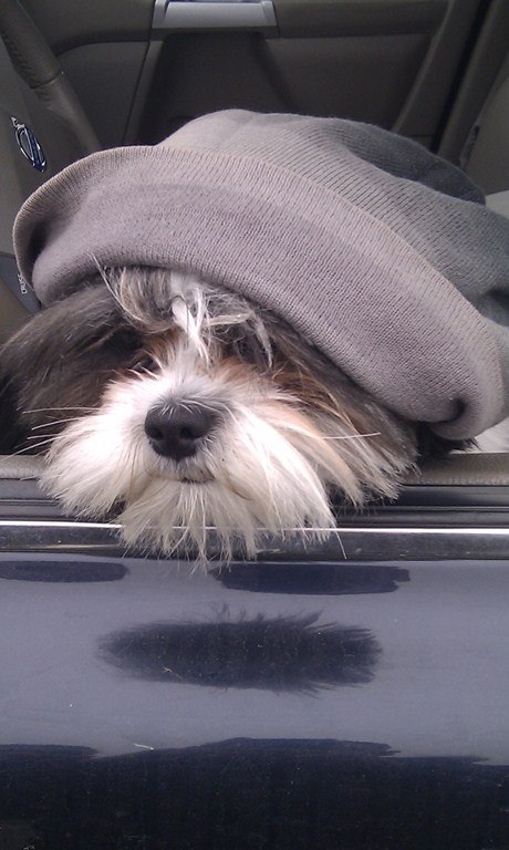 Иван Царёв фотография #47