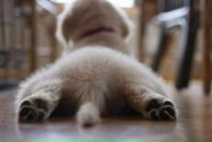 Фотография Перкулабы Кристины