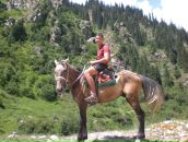 Фотография Сушанло Александра