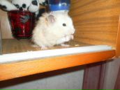 Дым Вночи фотография #8 (источник - https://vk.com/id2554928)