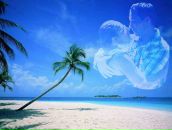 Фотография Пузырь Виктории