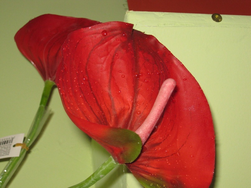 Оля Савиных фотография #29