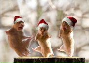 Віктор Венгриновський фотография #43 (источник - https://vk.com/id70276041)