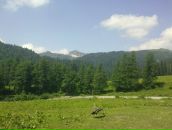 Igor Igor фотография #39 (источник - https://vk.com/id577602)