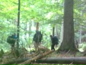 Валік Пряха фотография #34 (источник - https://vk.com/id74666305)