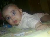 Фотография Годжаева Наила