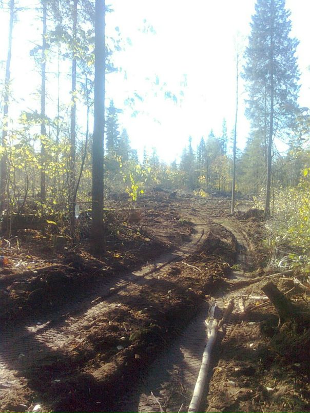 Николай Батуев фотография #9