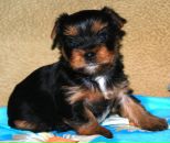 Фотография Вороновой Юлии