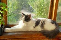 Фотография Карасёвой Татьяны