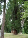 Андрій Сацик фотография #14 (источник - https://vk.com/id34531517)