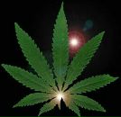 Славік Веляник фотография #2 (источник - https://vk.com/id116965193)