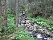 Александр Поліщук фотография #15 (источник - https://vk.com/id9517536)